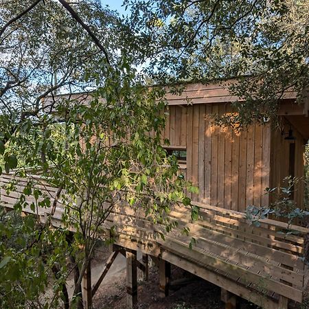 Les Cabanes Dans Les Bois Logis Hotel Villedubert Екстериор снимка