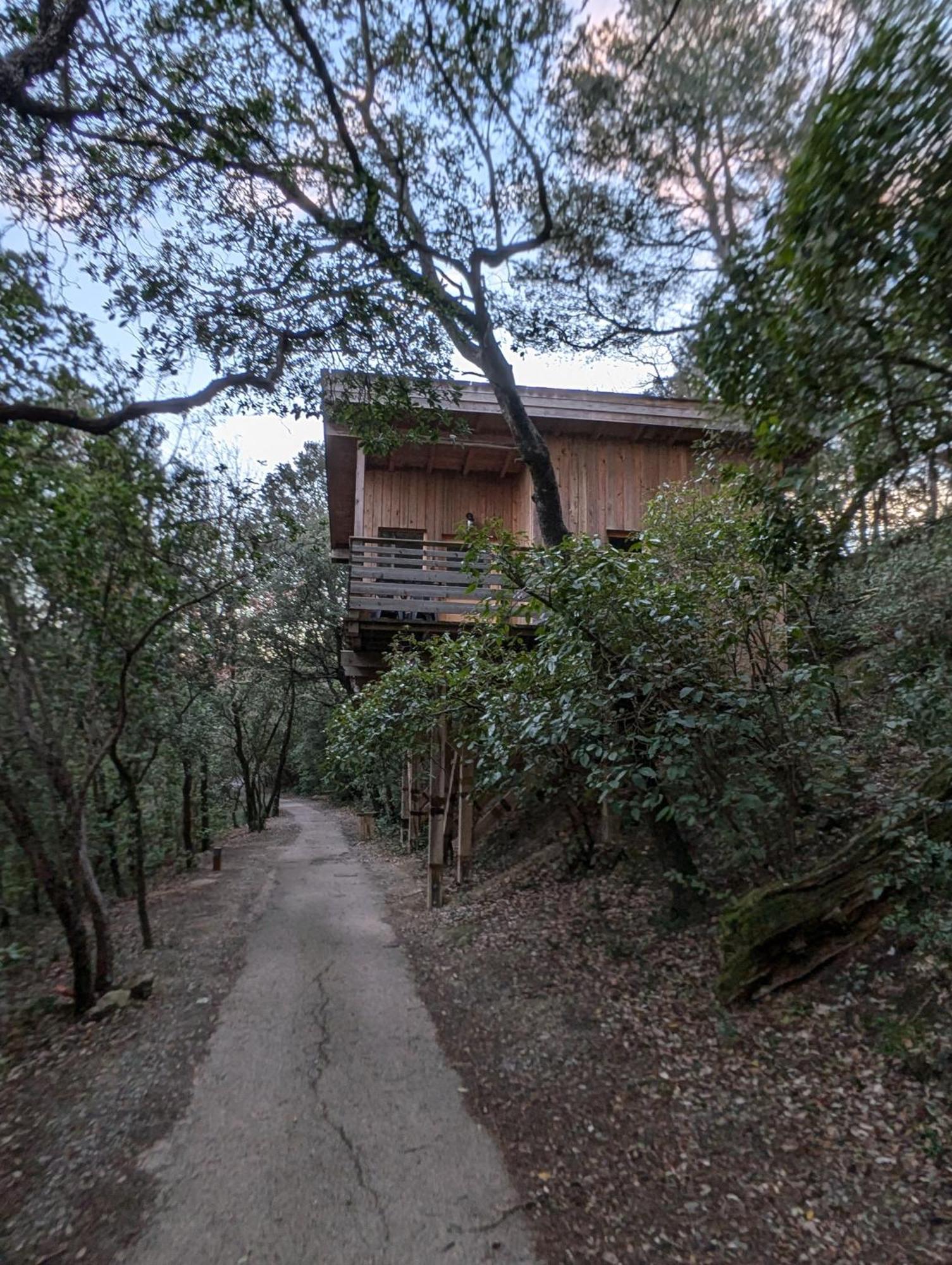 Les Cabanes Dans Les Bois Logis Hotel Villedubert Екстериор снимка