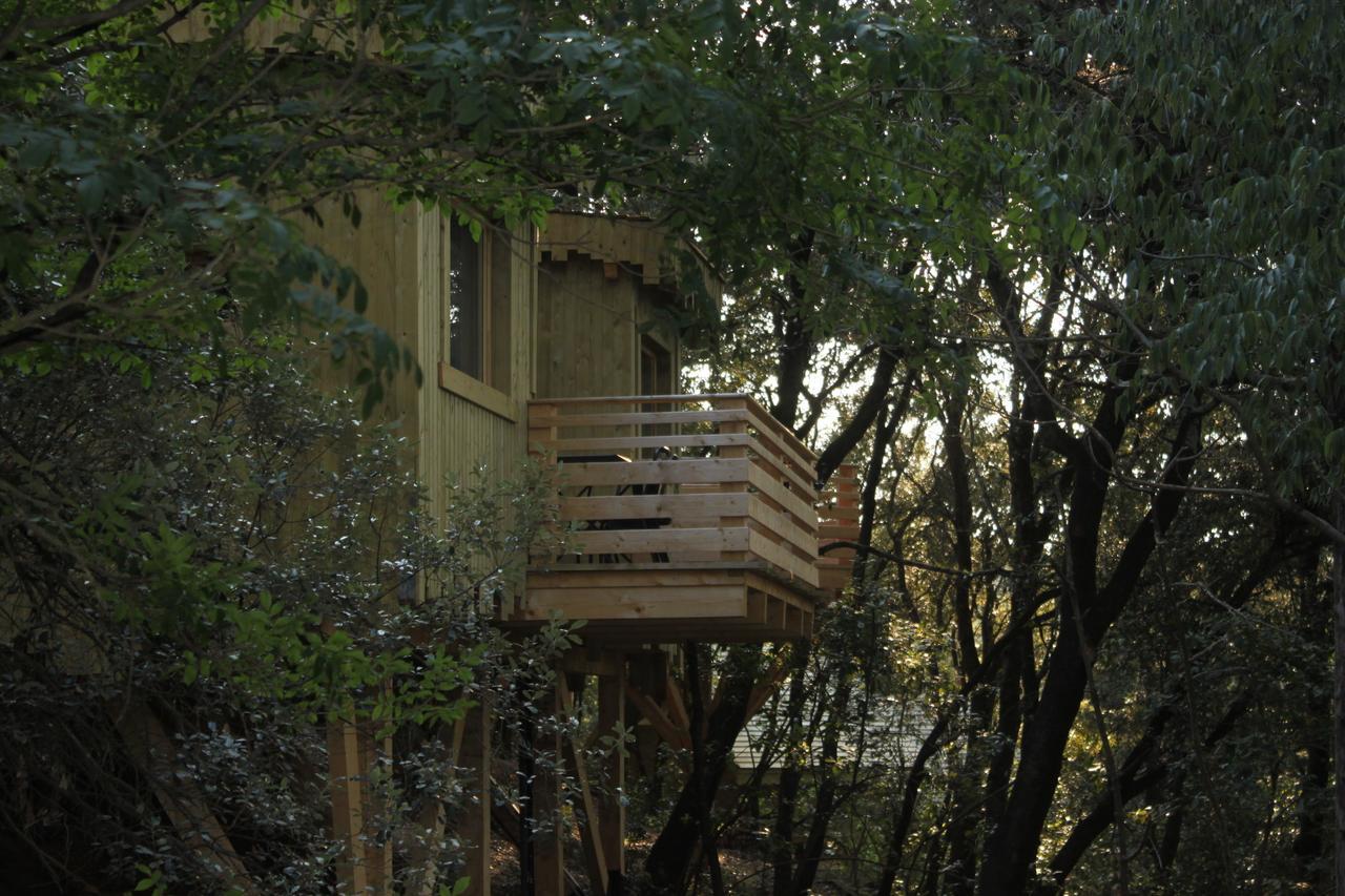 Les Cabanes Dans Les Bois Logis Hotel Villedubert Стая снимка