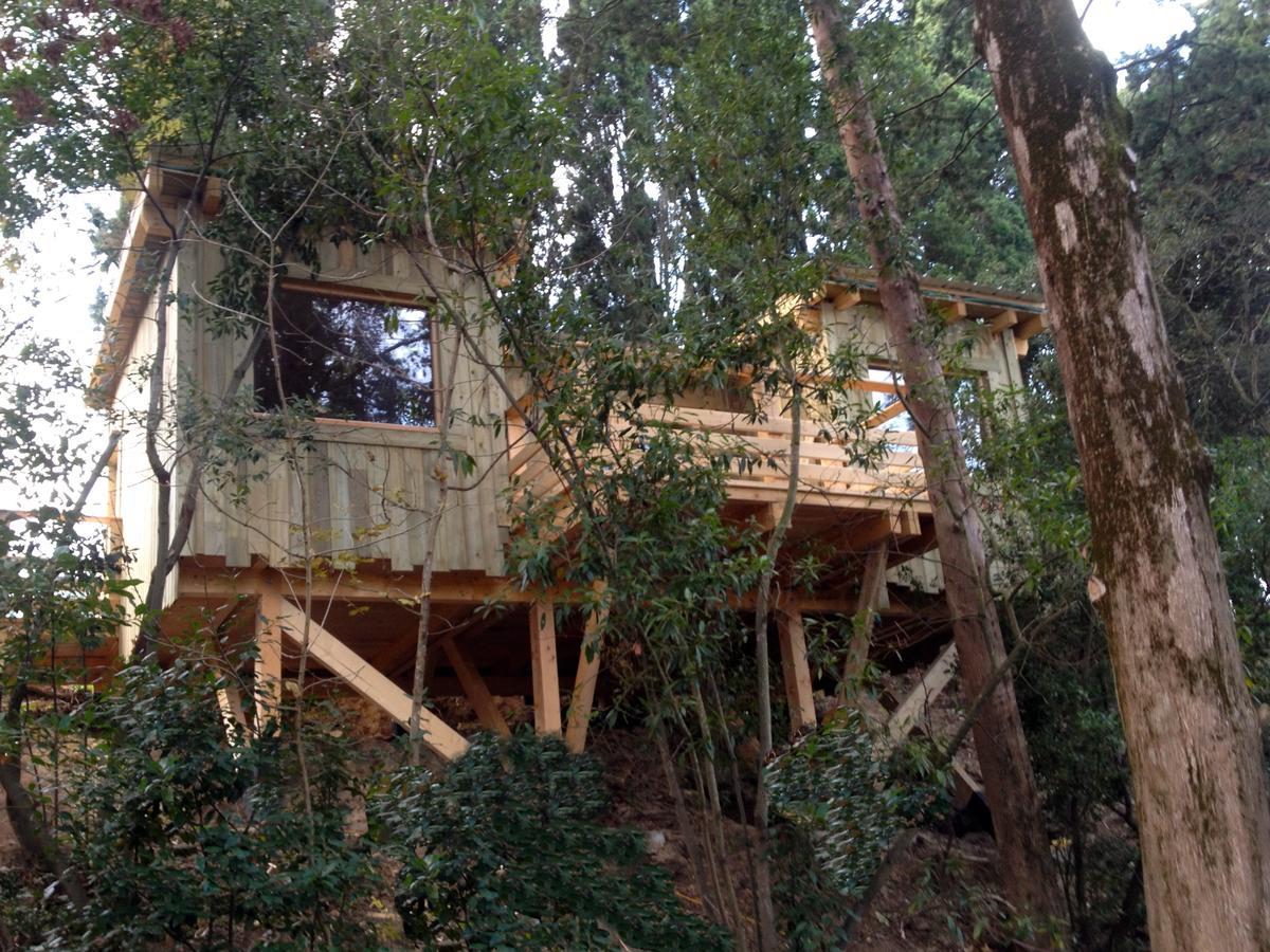 Les Cabanes Dans Les Bois Logis Hotel Villedubert Стая снимка