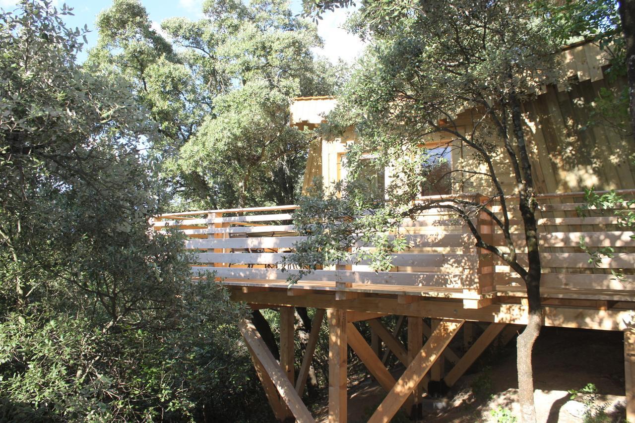 Les Cabanes Dans Les Bois Logis Hotel Villedubert Стая снимка