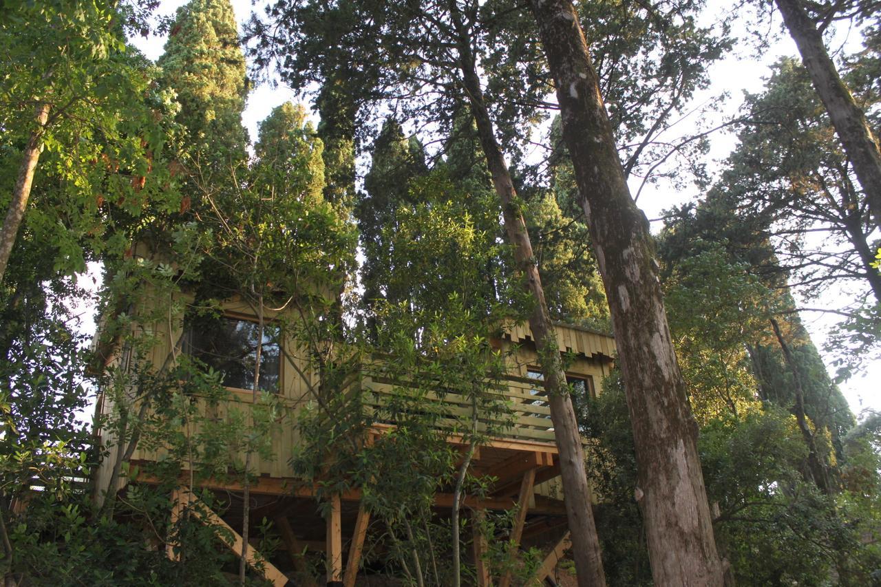 Les Cabanes Dans Les Bois Logis Hotel Villedubert Стая снимка