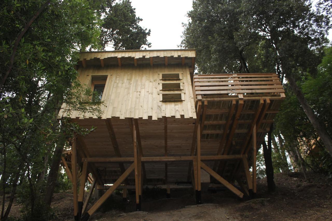 Les Cabanes Dans Les Bois Logis Hotel Villedubert Стая снимка