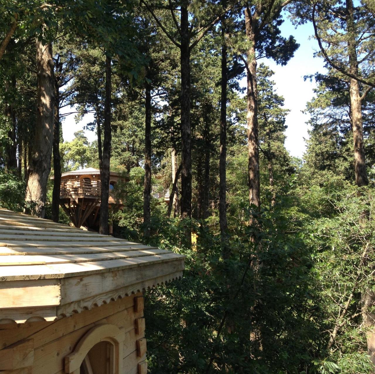 Les Cabanes Dans Les Bois Logis Hotel Villedubert Екстериор снимка